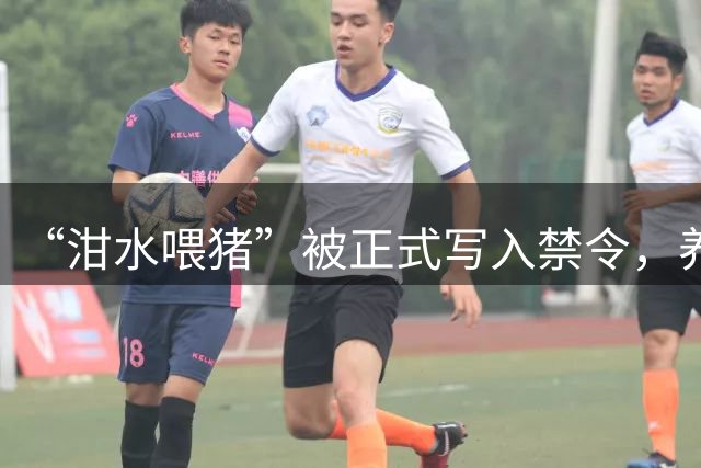 “泔水喂猪”被正式写入禁令，养殖场（含散养户）剩菜剩饭直接喂猪违法，违规可处10万元以下罚款，情节严重的最高罚款百万