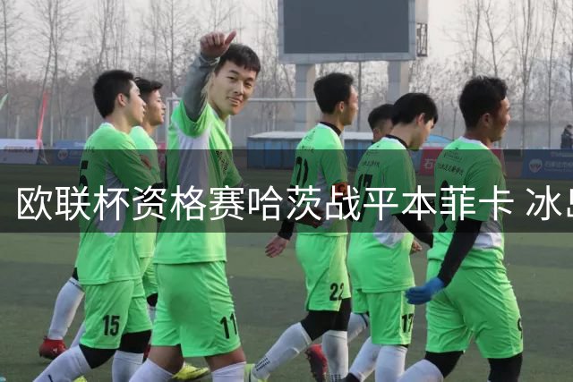 欧联杯资格赛哈茨战平本菲卡 冰岛后卫破门难挽败局