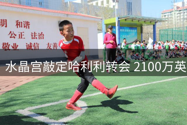 水晶宫敲定哈利利转会 2100万英镑引进比利时中场
